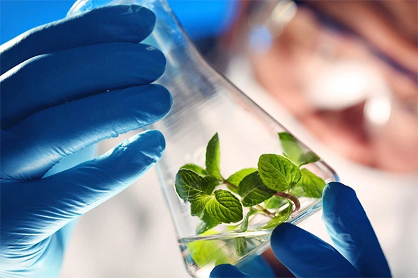 Chambre d'essai environnemental pour la biologie
