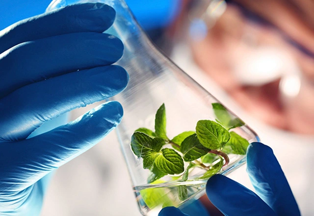 Chambre d'essai environnemental pour la biologie