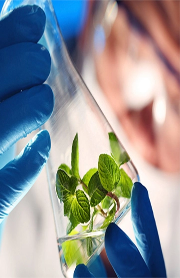 Chambre d'essai environnemental pour la biologie